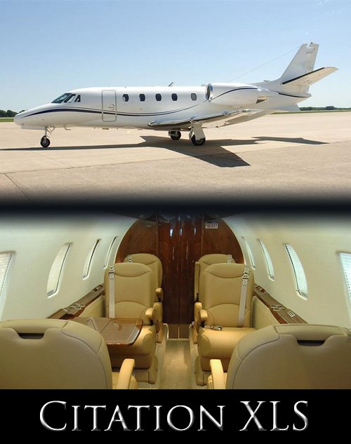 Citation XLS